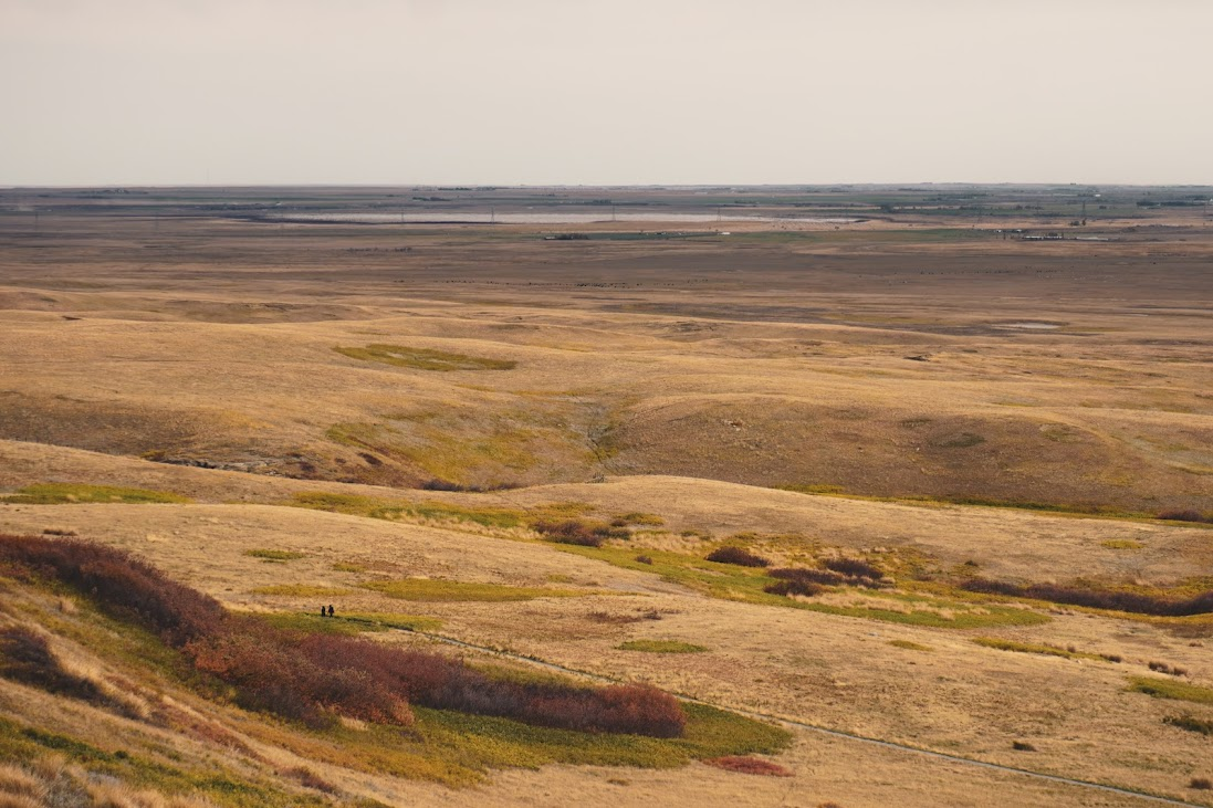 O polowaniach na bizony. Head-Smashed-In Buffalo Jump (Kanada).